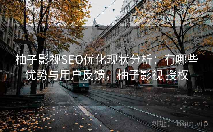 柚子影视SEO优化现状分析：有哪些优势与用户反馈，柚子影视 授权