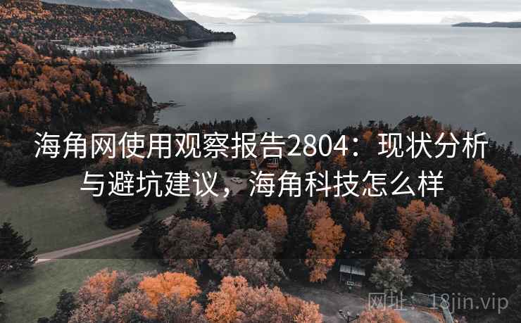 海角网使用观察报告2804：现状分析与避坑建议，海角科技怎么样