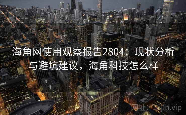 海角网使用观察报告2804：现状分析与避坑建议，海角科技怎么样