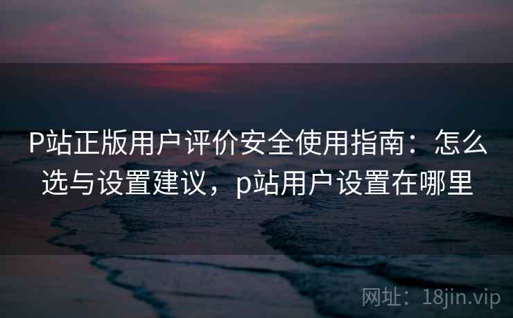 P站正版用户评价安全使用指南：怎么选与设置建议，p站用户设置在哪里