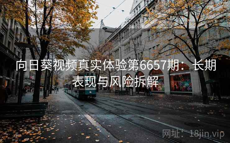 向日葵视频真实体验第6657期：长期表现与风险拆解