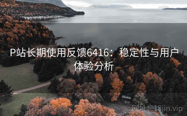 P站长期使用反馈6416：稳定性与用户体验分析