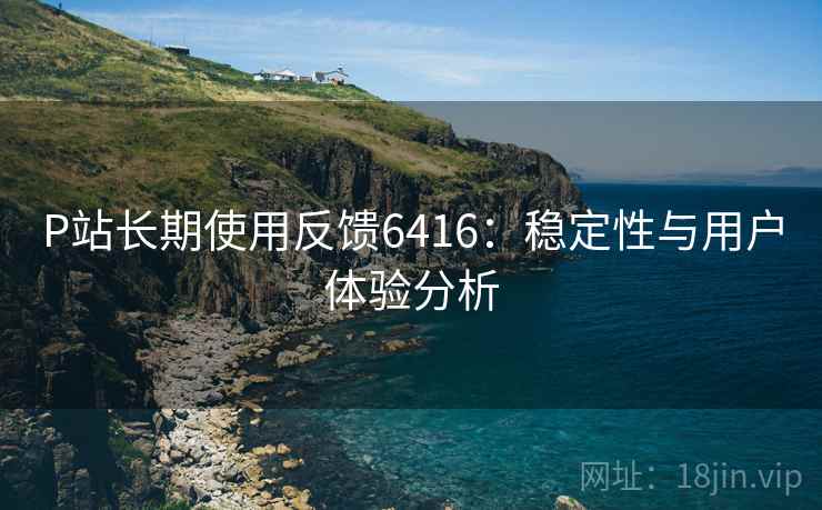 P站长期使用反馈6416：稳定性与用户体验分析