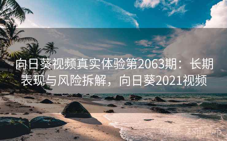 向日葵视频真实体验第2063期：长期表现与风险拆解，向日葵2021视频