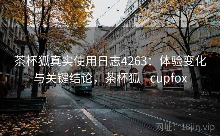 茶杯狐真实使用日志4263：体验变化与关键结论，茶杯狐 - cupfox