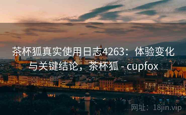 茶杯狐真实使用日志4263：体验变化与关键结论，茶杯狐 - cupfox
