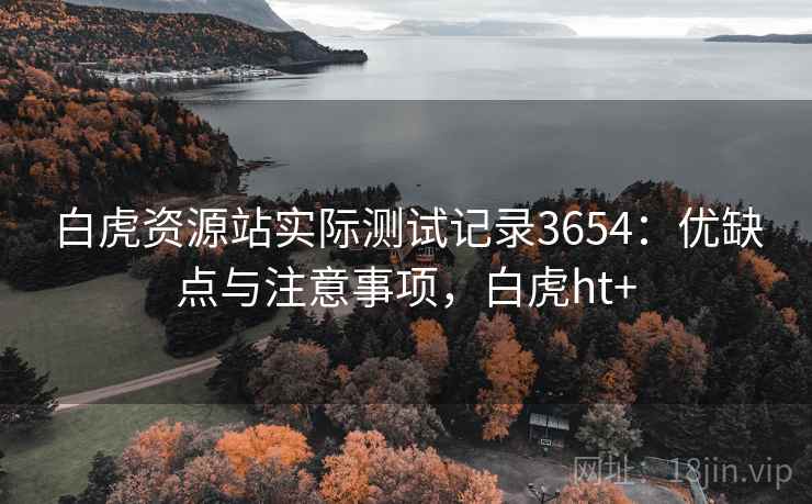 白虎资源站实际测试记录3654：优缺点与注意事项，白虎ht+