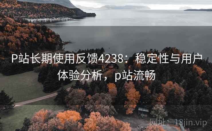 P站长期使用反馈4238：稳定性与用户体验分析，p站流畅