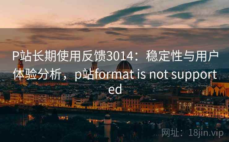 P站长期使用反馈3014：稳定性与用户体验分析，p站format is not supported
