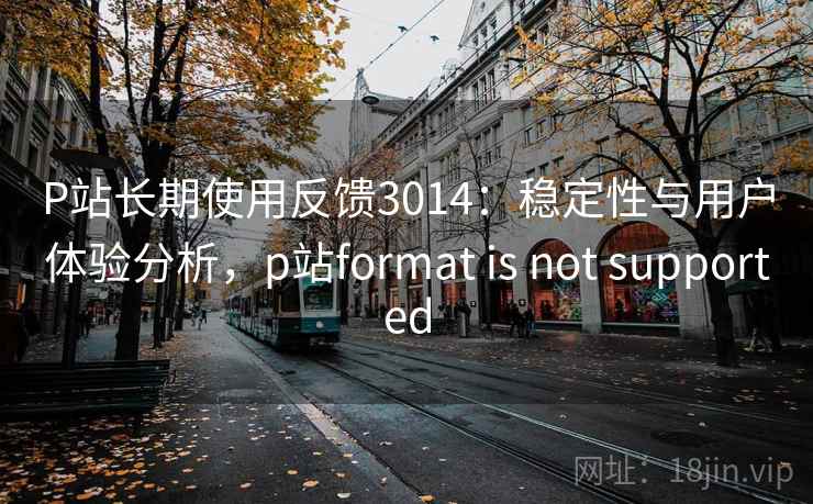 P站长期使用反馈3014：稳定性与用户体验分析，p站format is not supported