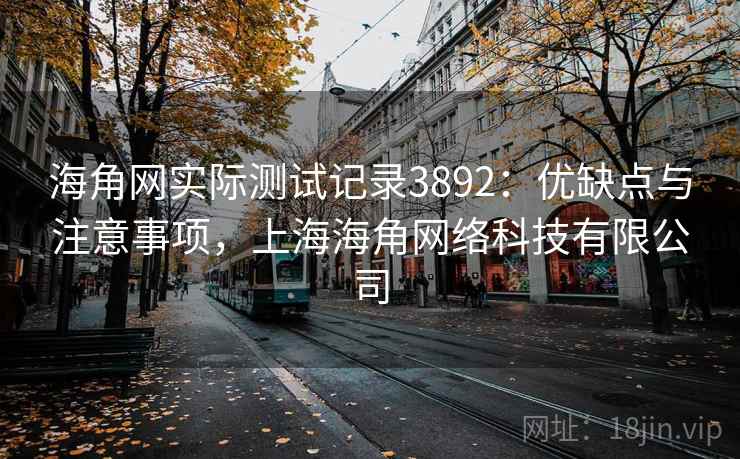 海角网实际测试记录3892：优缺点与注意事项，上海海角网络科技有限公司