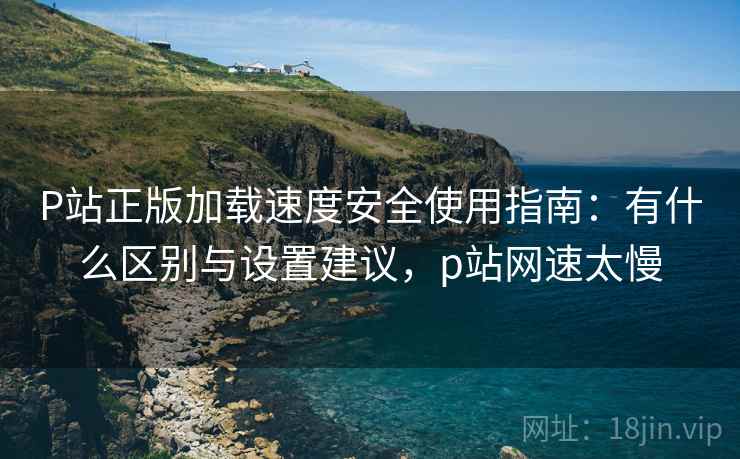 P站正版加载速度安全使用指南：有什么区别与设置建议，p站网速太慢