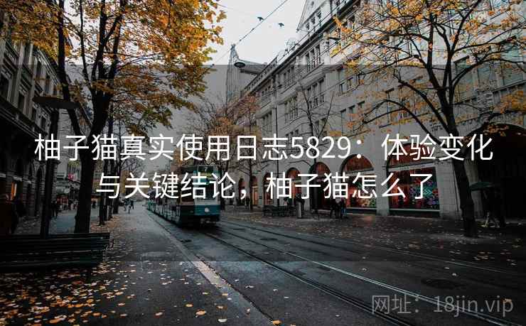 柚子猫真实使用日志5829:体验变化与关键结论,柚子猫怎么了 柚子猫真实使用日志5829:体验变化与关键结论,柚子猫怎么了