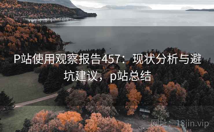 P站使用观察报告457：现状分析与避坑建议，p站总结