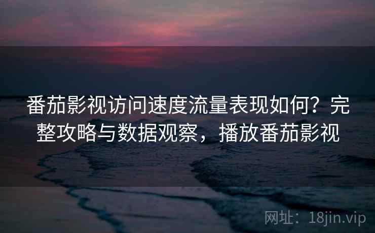 番茄影视访问速度流量表现如何？完整攻略与数据观察，播放番茄影视